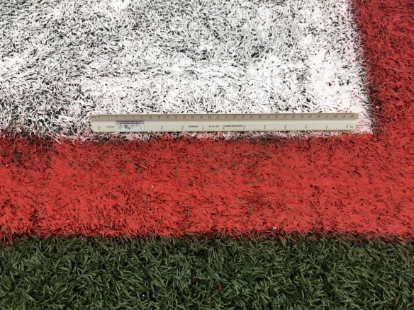 Pro Football Stadium: Business Interruption Due to Incorrect Paint Usage