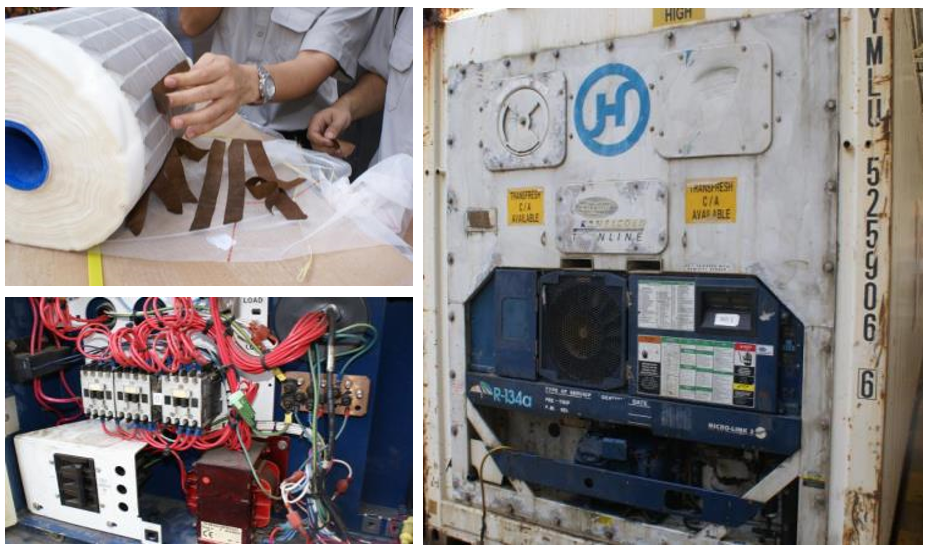 Refrigeration Failure Leads to Tobacco Loss – Asia