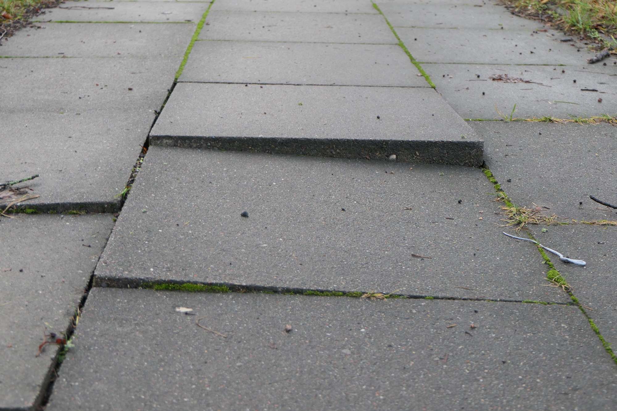 adobestock 448069961