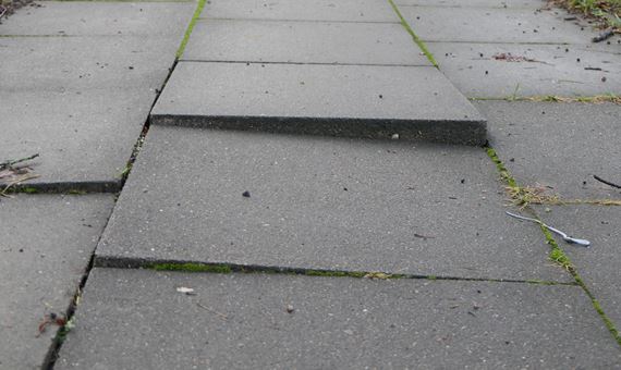 adobestock 448069961